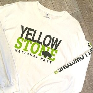 MEN'S YELLOWSTONE LONG SLEEVE T-SHIRT